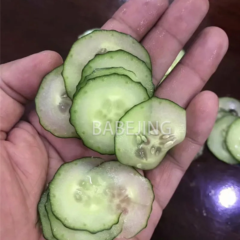 Electric Mini Scallion Chopper - Kitchen Appliances Electric ulasan dan harga